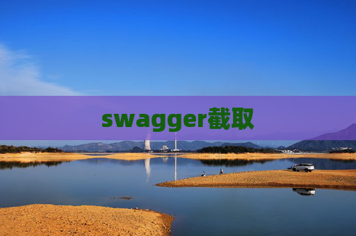 swagger截取